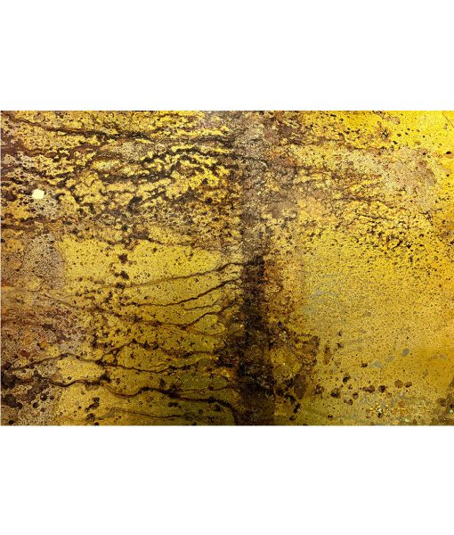 Ascension Series. Tribulations of Earth